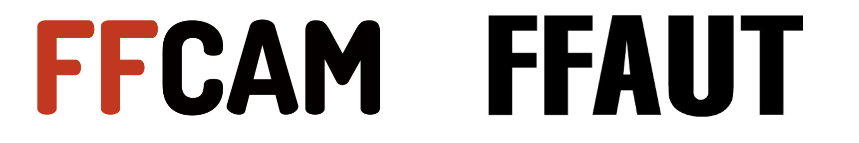 FFCAM_FFAUTO.png