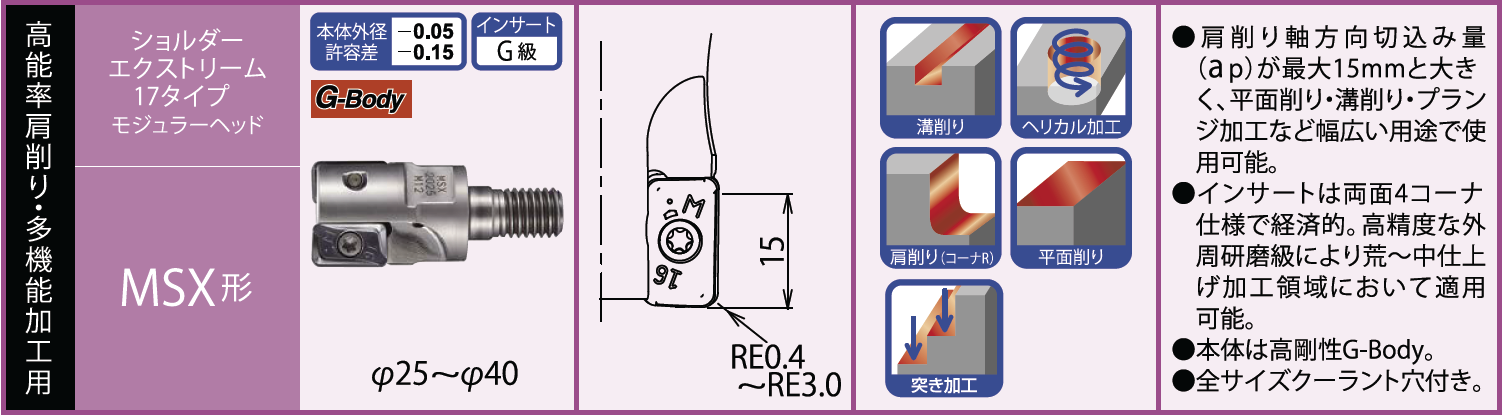 MSX.jpg